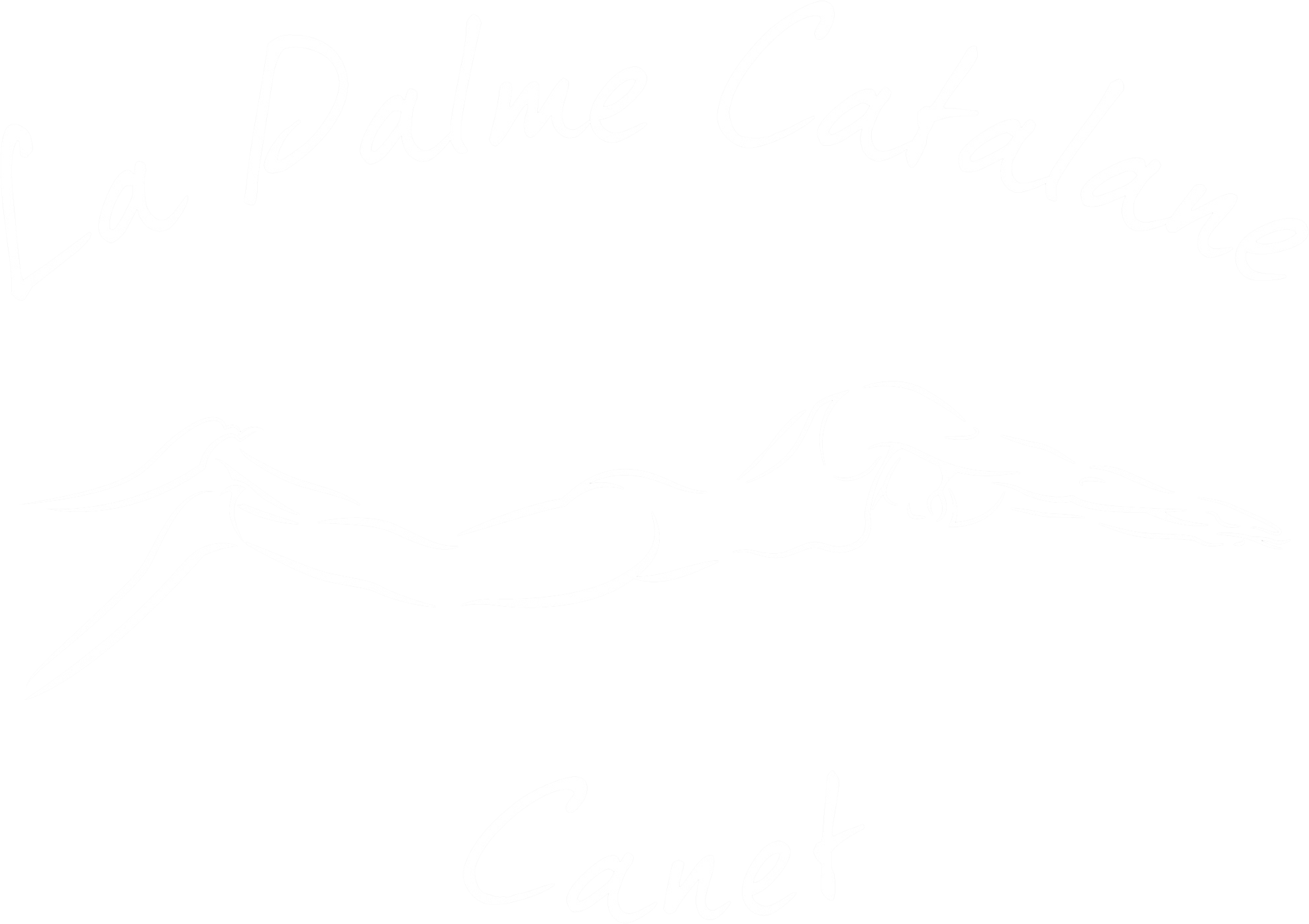 logo de la palme catalane